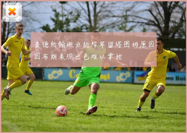 查德约翰逊分析绿军留塔图姆原因因布朗表现出色难以掌控