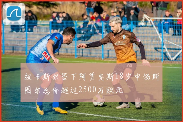 纽卡斯尔签下阿贾克斯18岁中场斯图尔总价超过2500万欧元